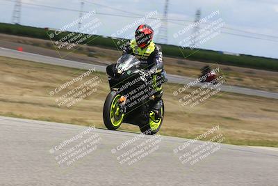 media/Apr-26-2024-TrackDaz (Fri) [[c4b677d280]]/C Group/140pm (Wheelie Bump)/